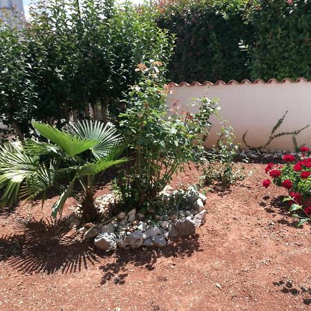 Ferienhaus Bozena Appartment 2 Vrsar Ngoại thất bức ảnh