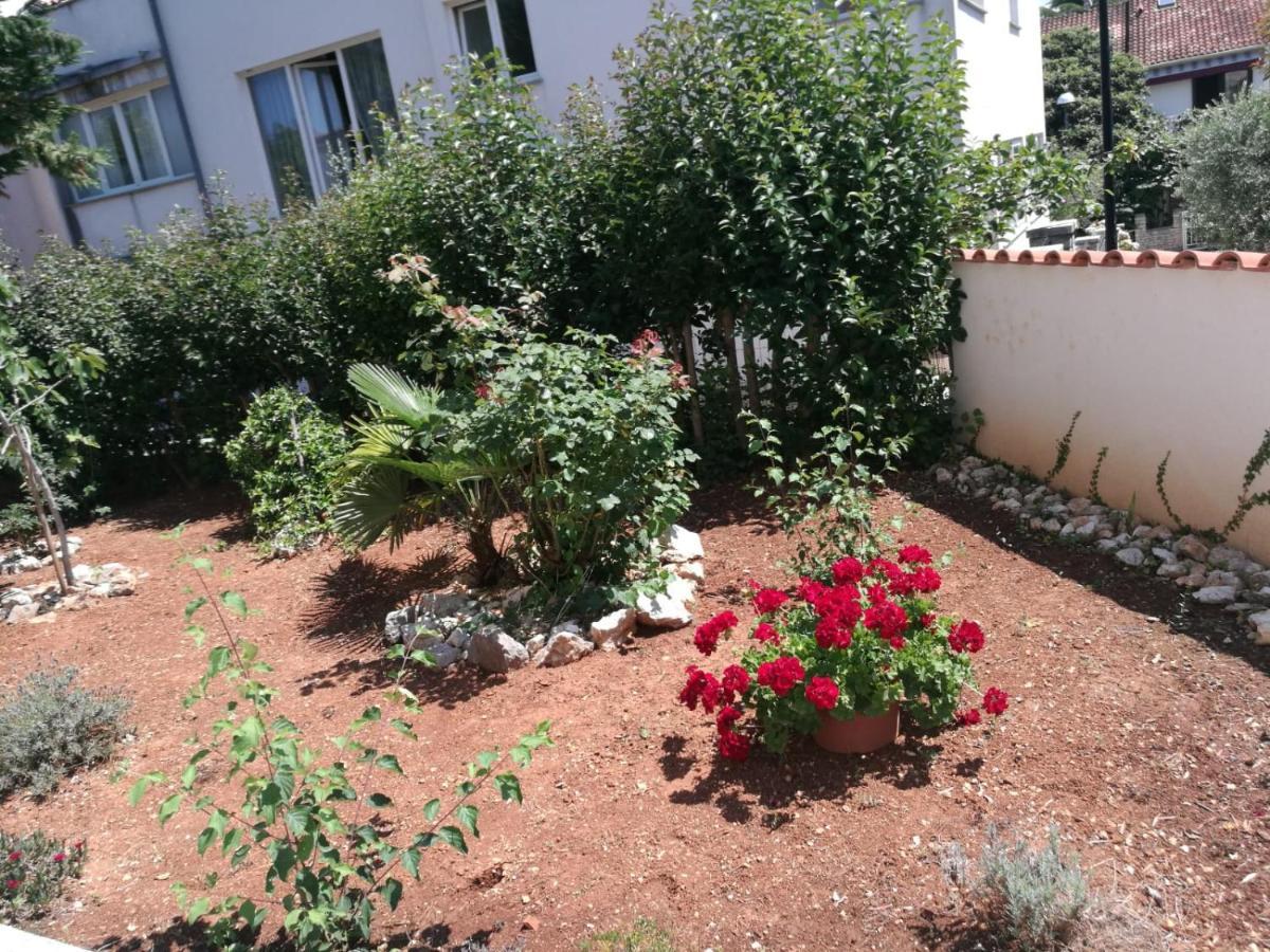 Ferienhaus Bozena Appartment 2 Vrsar Ngoại thất bức ảnh